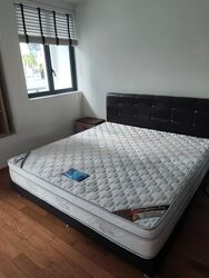 Soleil @ Sinaran (D11), Condominium #484674621